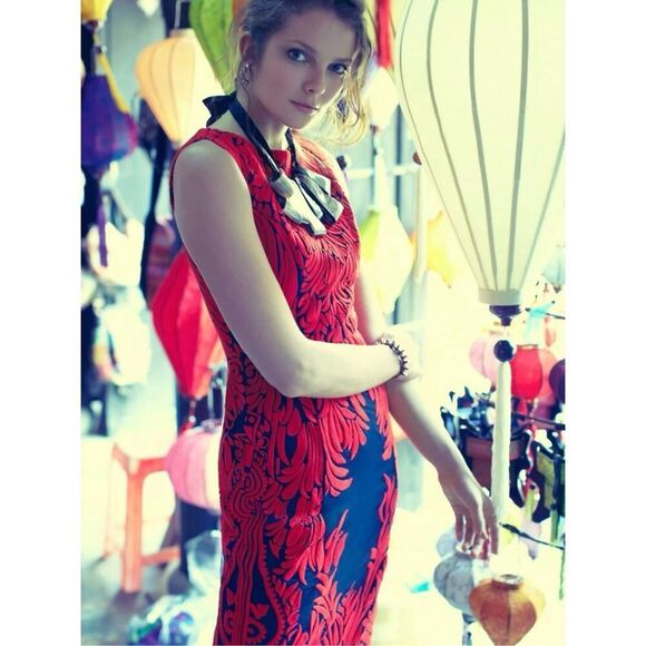 Anthropologie PANKAJ & NIDHI Woman’s 0 Petite Spice Tree Appliqué Sleeveless Dre - Picture 2 of 11